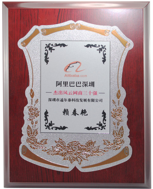 遙爾泰獲得《阿里巴巴深圳 杰出風(fēng)云網(wǎng)商三十強》稱(chēng)號