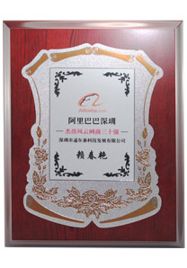 遙爾泰獲得《阿里巴巴深圳 杰出風(fēng)云網(wǎng)商三十強》稱(chēng)號
